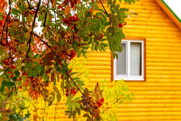 Garden Window Replacement in Pittsfield